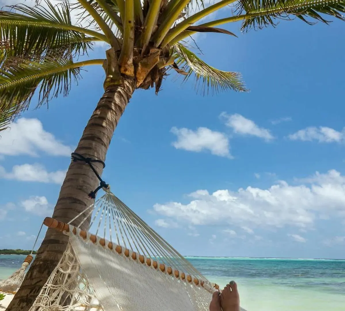 New 3Br Private Beachfront Villa With Pool At Soliman トゥルム メキシコ